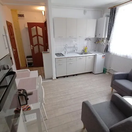 Apartment Plopilor - Studio 2nd Floor Deva