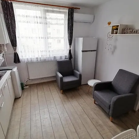 Plopilor - Studio 2nd Floor Apartment Deva