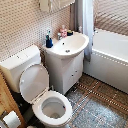 Plopilor - Studio 2nd Floor Apartment Deva