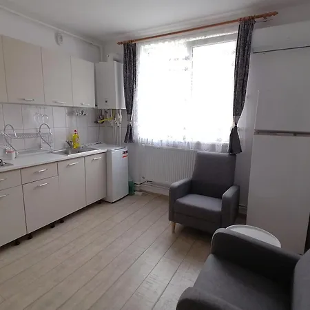Apartment Plopilor - Studio 2nd Floor *