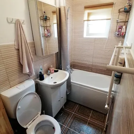 Apartment Plopilor - Studio 2nd Floor