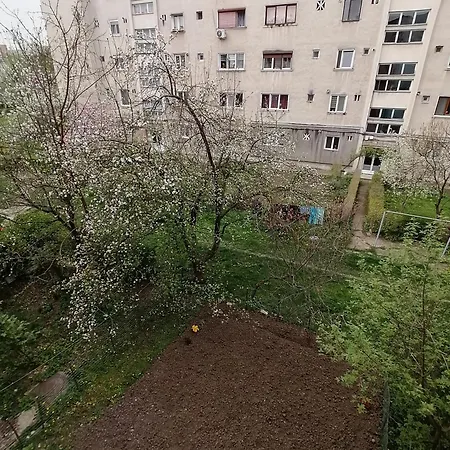 Apartment Plopilor - Studio 2nd Floor *