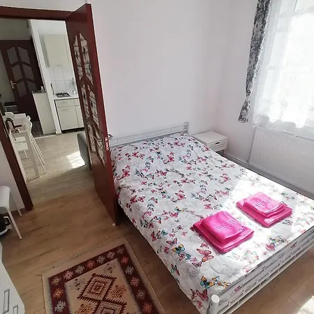 Plopilor - Studio 2nd Floor Apartment